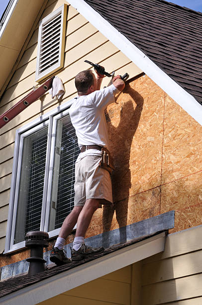 Best Custom Trim and Detailing for Siding  in West Ishpeng, MI
